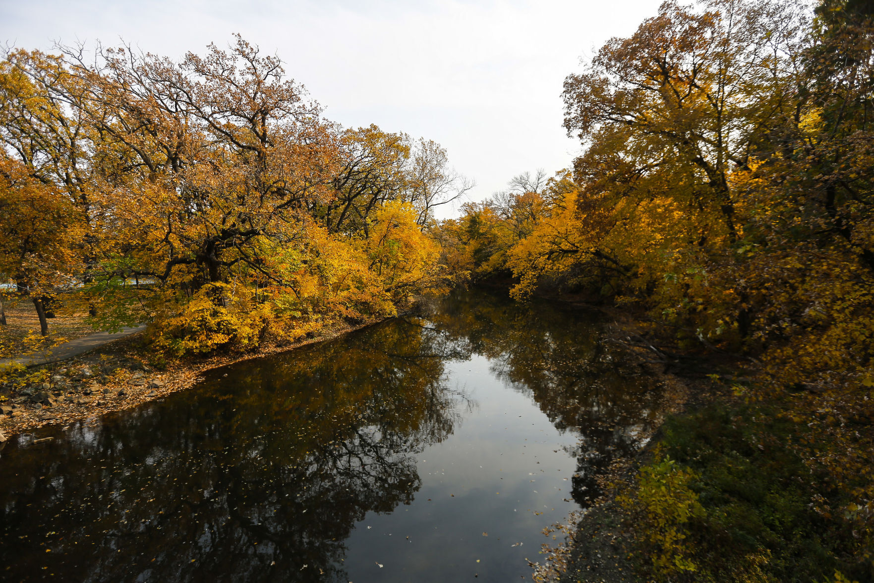 Fall